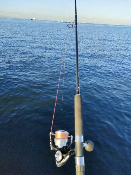 9月最終日にサゴシ