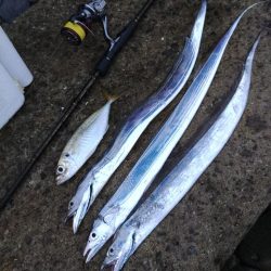 フロートゲーム~