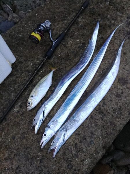 フロートゲーム~