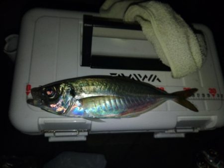 フロートゲーム～