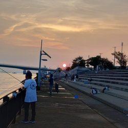 久しぶりの手応え