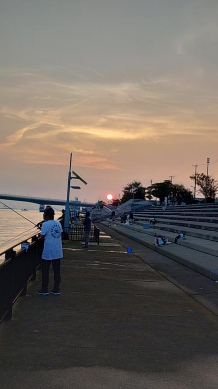 久しぶりの手応え