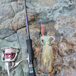 何年ぶりやろかなー エギング