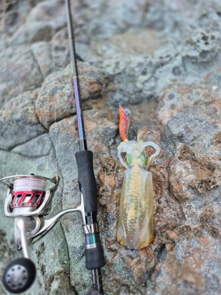 何年ぶりやろかなー エギング