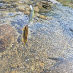 台風の恩恵は無かったです