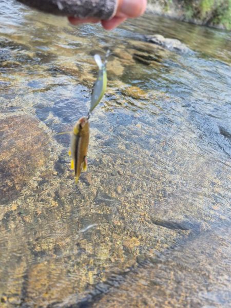 台風の恩恵は無かったです