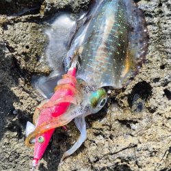 食べるだけは確保