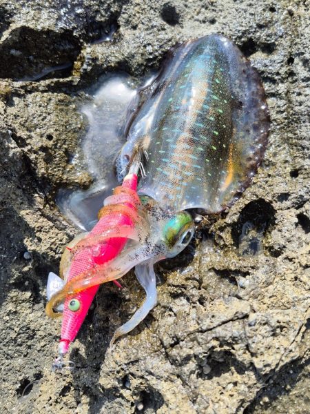 食べるだけは確保