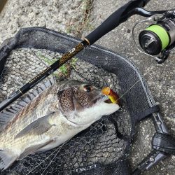 トップチニング