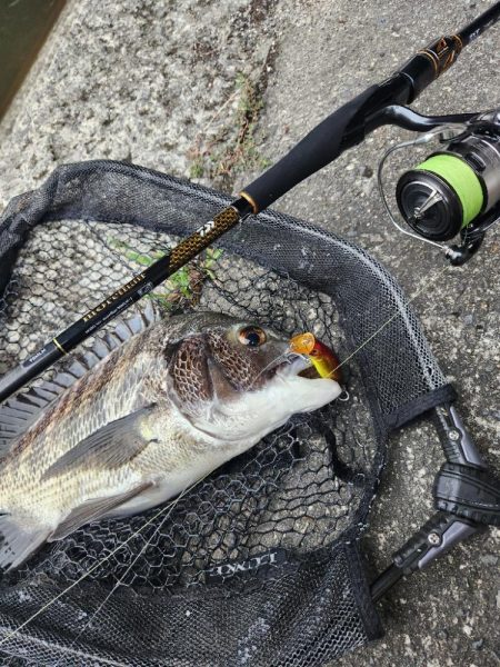 トップチニング