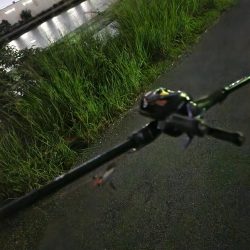 しごおわチニング