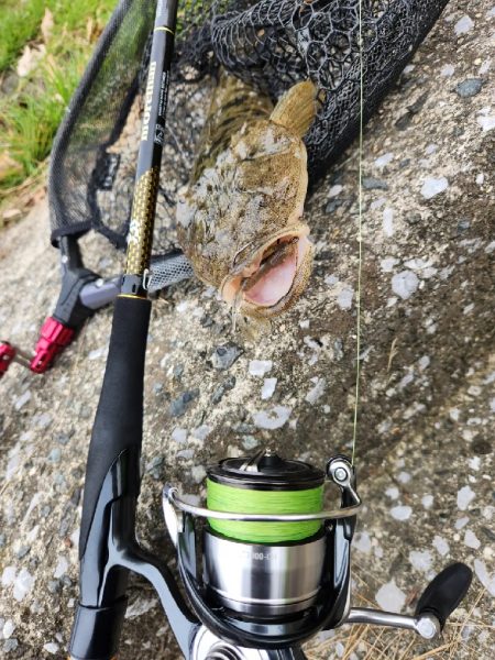 チニングのはずが…