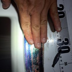 やっと釣れた真夜中太刀魚ウキ釣り