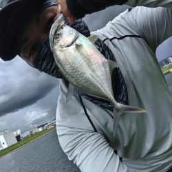 メッキが釣れました!