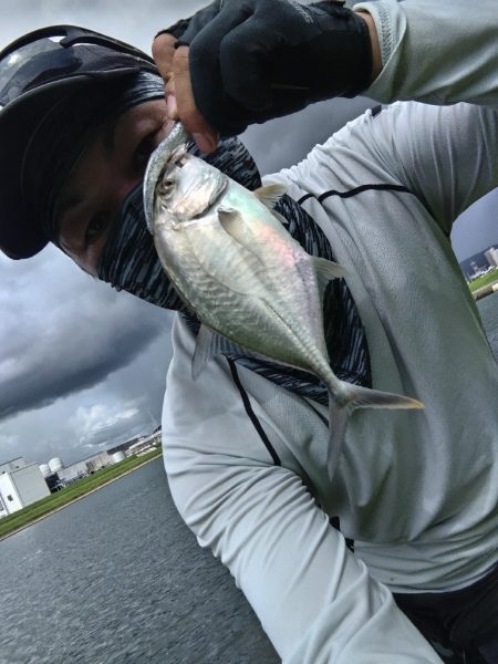 メッキが釣れました!