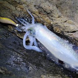 土砂降りを回避