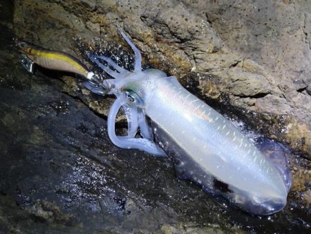 土砂降りを回避