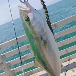 今年初ノマセ釣り🎣