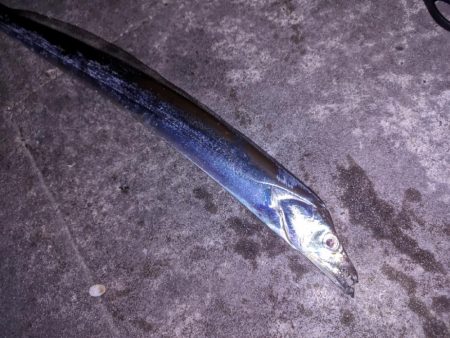 明石秋の3点セット