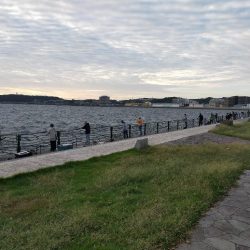 朝マヅメの３時間