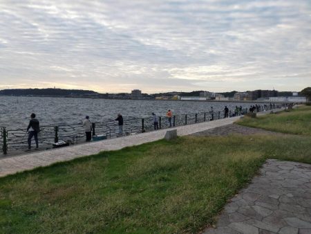 朝マヅメの３時間