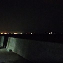 夕マヅメ短時間釣行