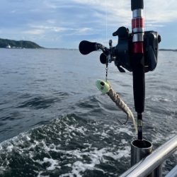 博多湾で初めてのタチウオ釣りしてきました