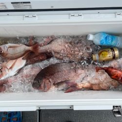 鹿児島錦江湾で1つテンヤのタイ釣り、また行ってきました