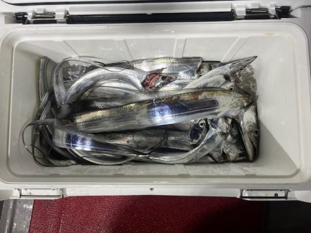 初めてのライトテンヤタチウオでした