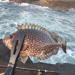 大荒れの中良型オナガグレ捕獲！