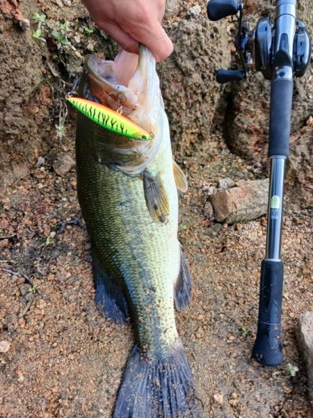 連休最終日も好調！！