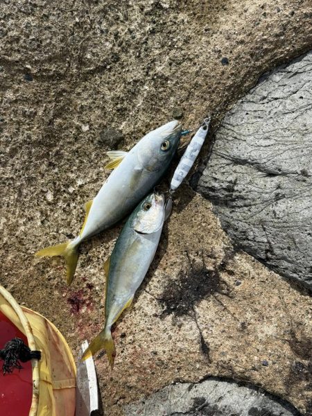 味をしめた磯にて、、ツヌケました〜