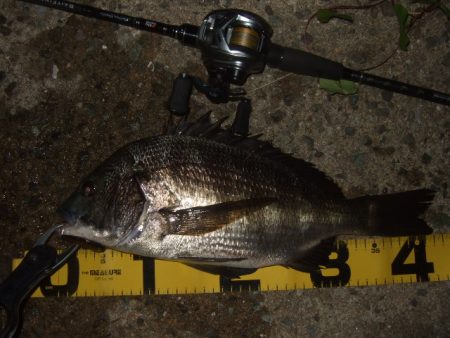 新規ポイントを開拓に