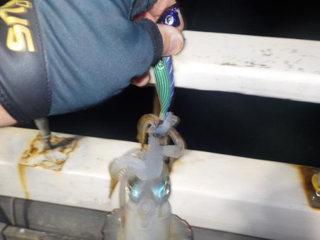 ティップラン初釣行〜倉丸〜