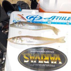 キス第2戦〜take sea〜