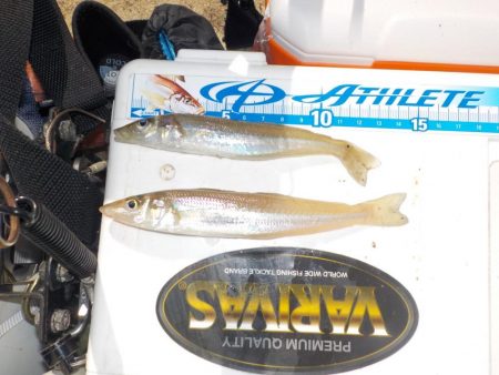 キス第2戦〜take sea〜