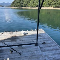 たかたか釣り日記