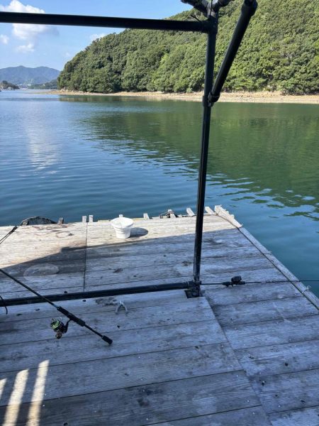 たかたか釣り日記