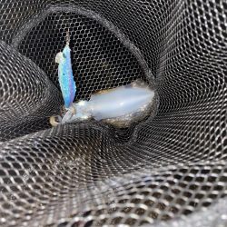 ムラムラチェリー最高！