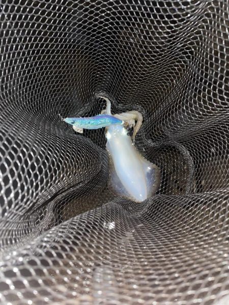 予報?予想以上に爆風!!!