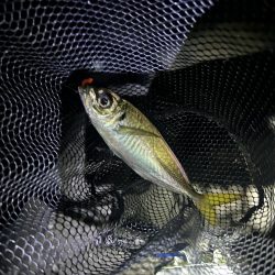 フロートアジング