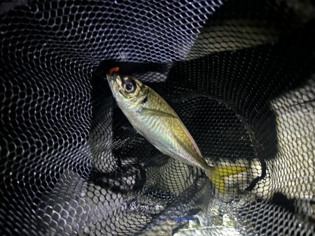 フロートアジング