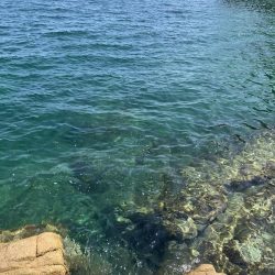 宮津市エギランガン