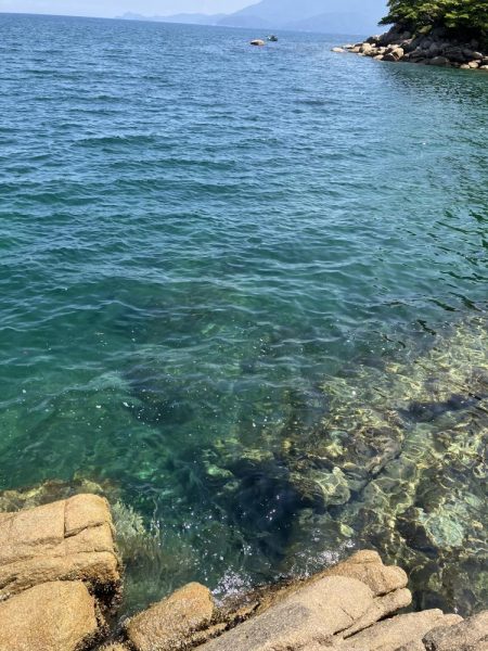 宮津市エギランガン