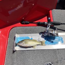 北山田小バスは管釣り状態です。