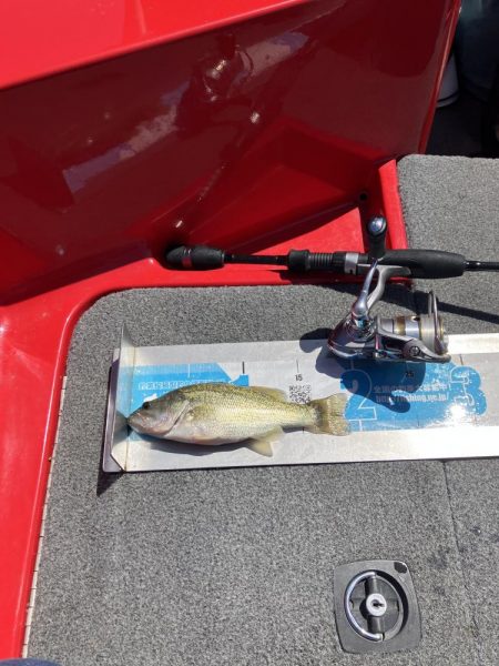 北山田小バスは管釣り状態です。