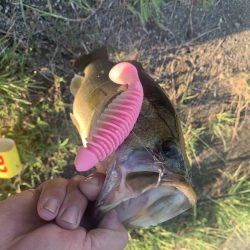 久しぶりのバス釣り