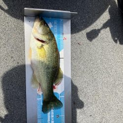 矢橋沖ディープホール