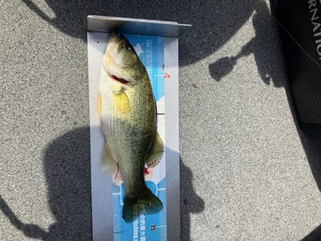 矢橋沖ディープホール