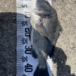 イチノ兄弟、釣果!